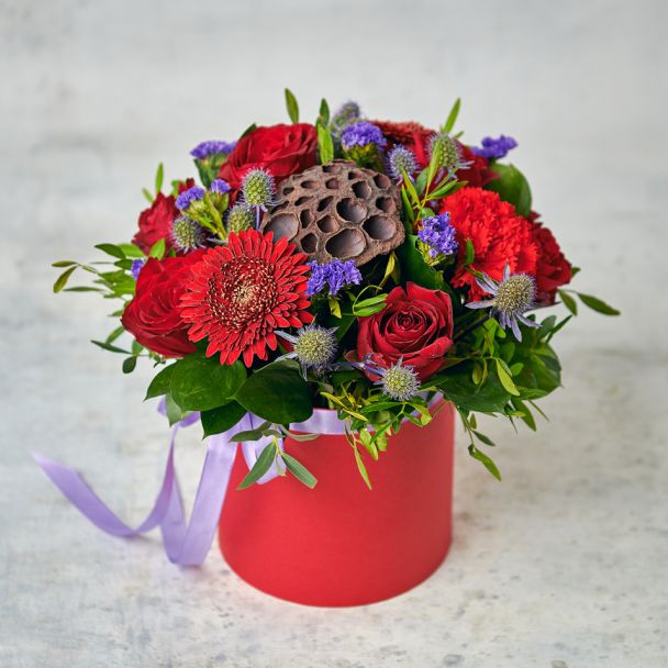 Танго под ночным небом