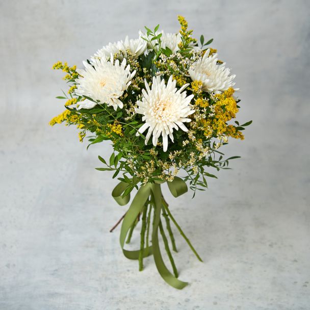 Звездный луг